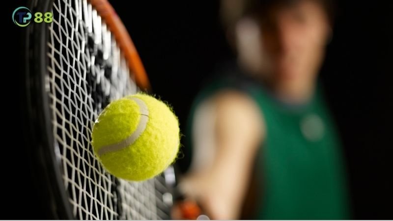 cac-giai-dau-tennis-noi-bat-de-ca-cuoc