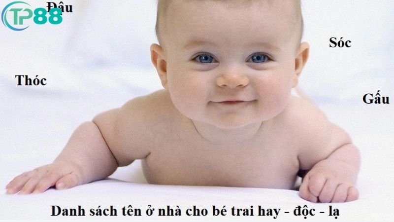 ten-o-nha-cho-be-trai-1